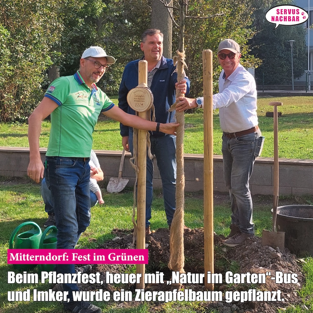 2024-9-Mitterndorf-Pflanzfest.jpg